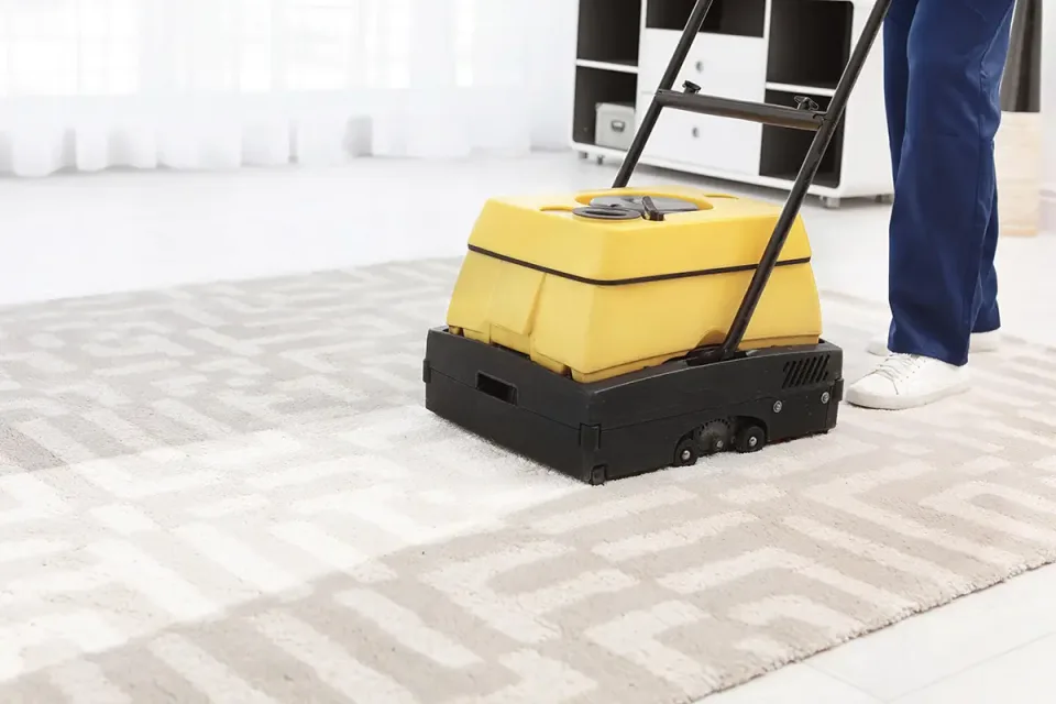 Vacuum leaving a clean stripe across a textured pile carpet